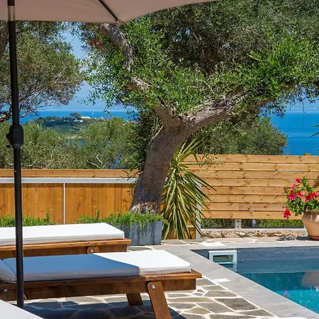 Paxos