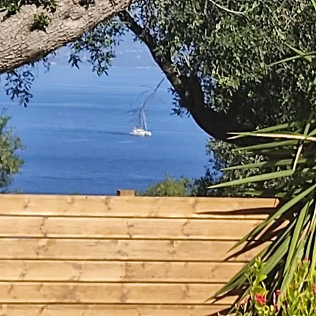 Paxos * Gaios