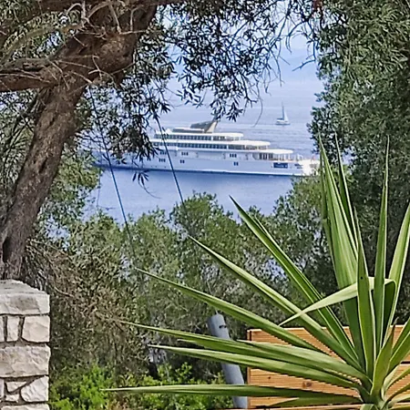 Paxos